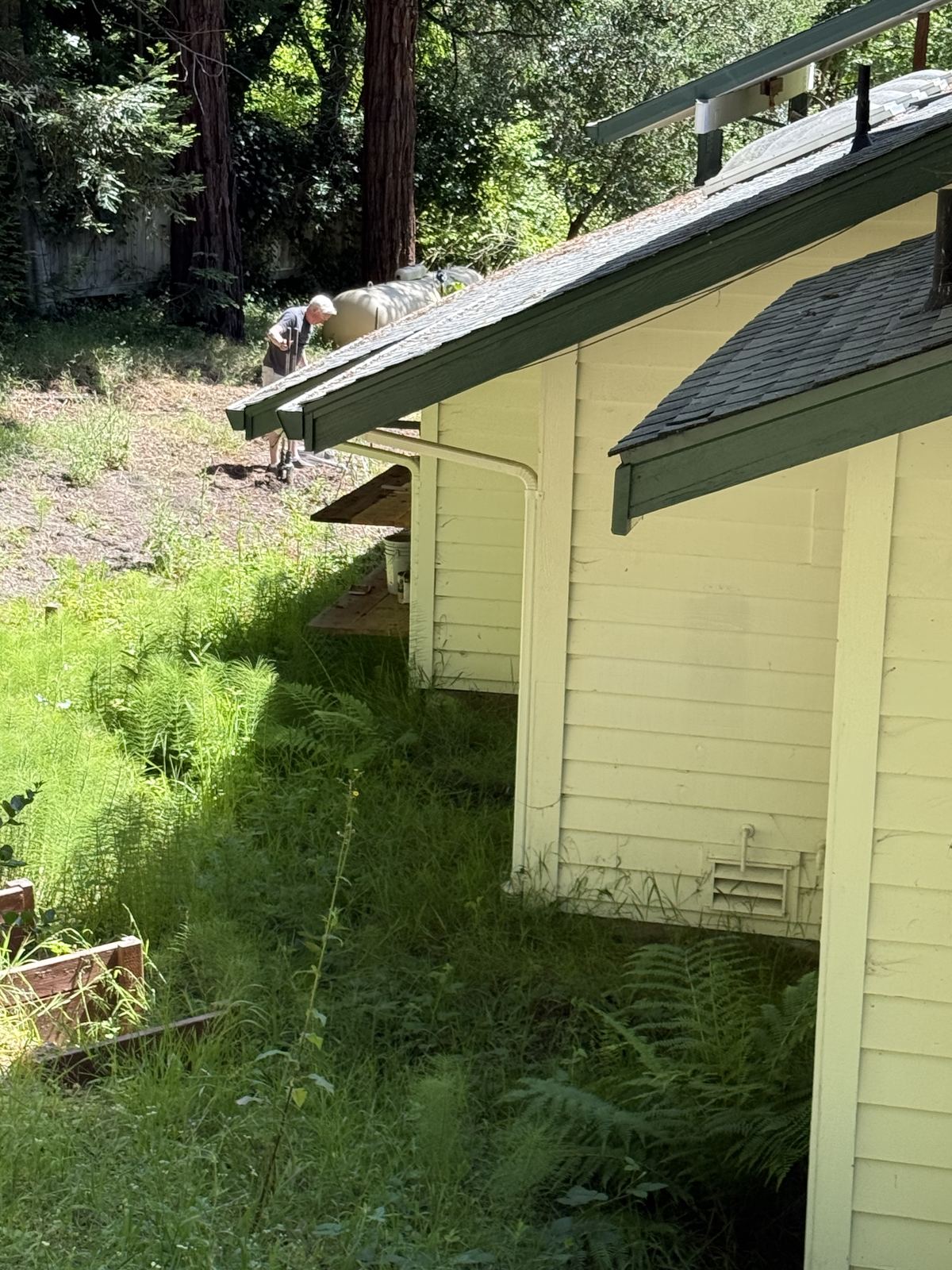 Tall grass against siding near a propane tank