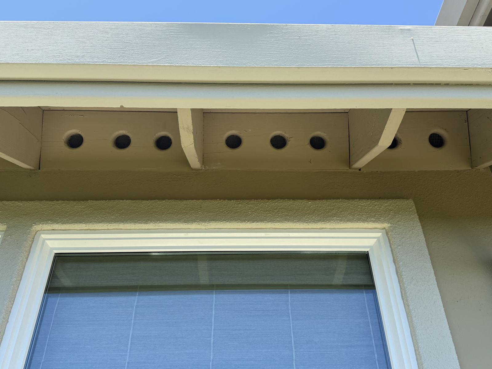 Round eave vents with dark fine mesh visible inside each opening above a window