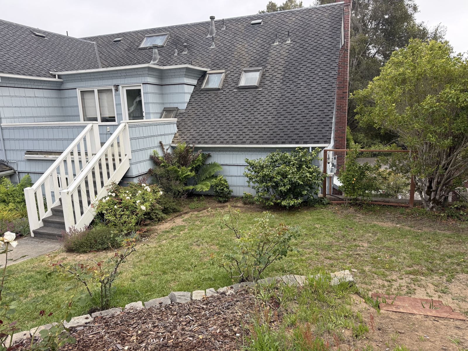 Shrubs, ferns and bark mulch planted against wood shake siding
